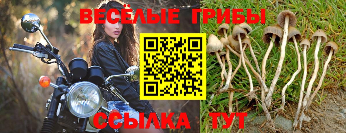 Грязи  наркошоп  Вход с VPN  Псилоцибиновые грибы MAGIC MUSHROOMS 